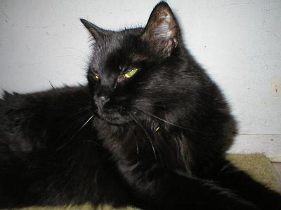 [ This is Alverton ]